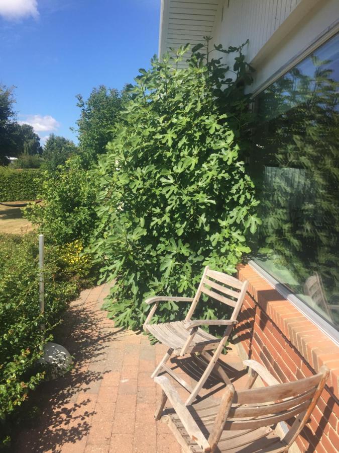 Vaerelse Med Udsigt Over Limfjorden - Rolige Omgivelser Og Adgang Til Flot Have Nykobing Mors Exteriör bild